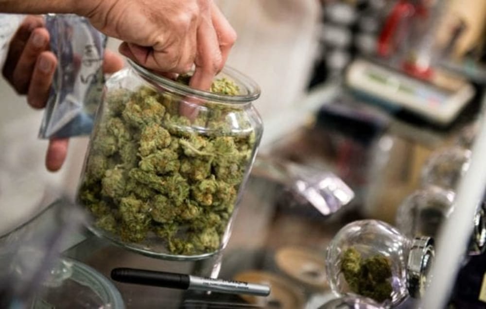 infiorescenze cannabis legale 2