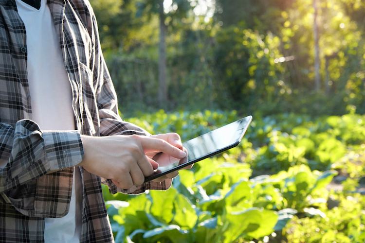 innovazione agricoltura 2