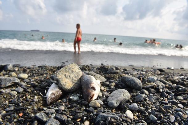 inquinamento cosenza