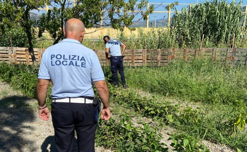 irrigazione abusiva polizia locale