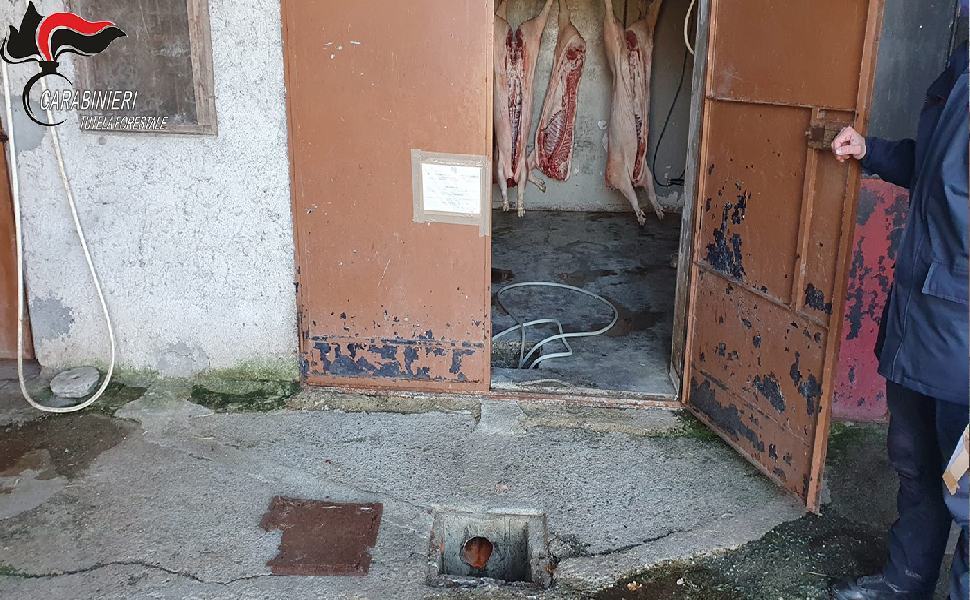 isezione nas cosenza