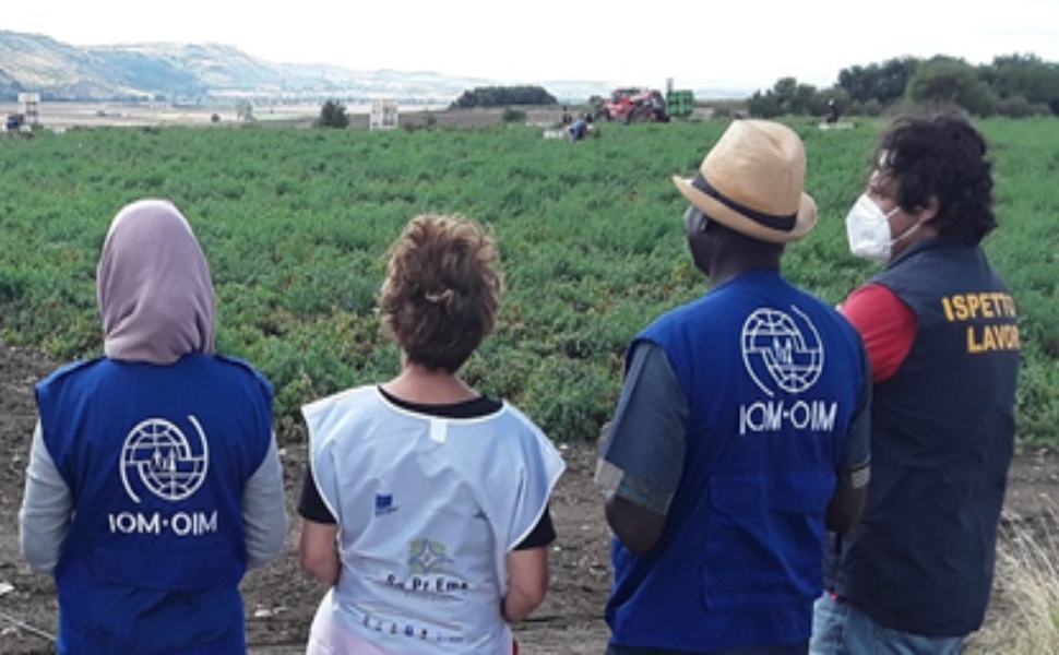 Lavoro nero, blitz nel cosentino. Trovate irregolari 42 aziende agricole su 45 51 ispettorato del lavoro Cosenza lavoro nero