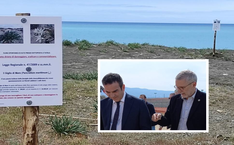 italia nostra gigli mare praia laghi occhiuto