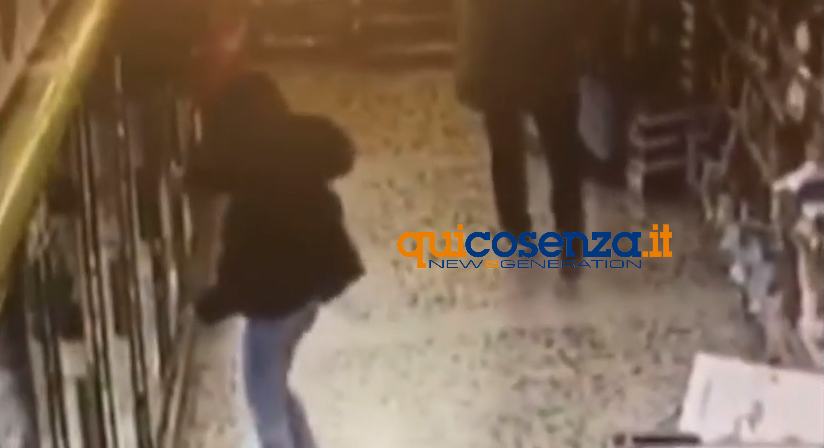 ladri cosenza