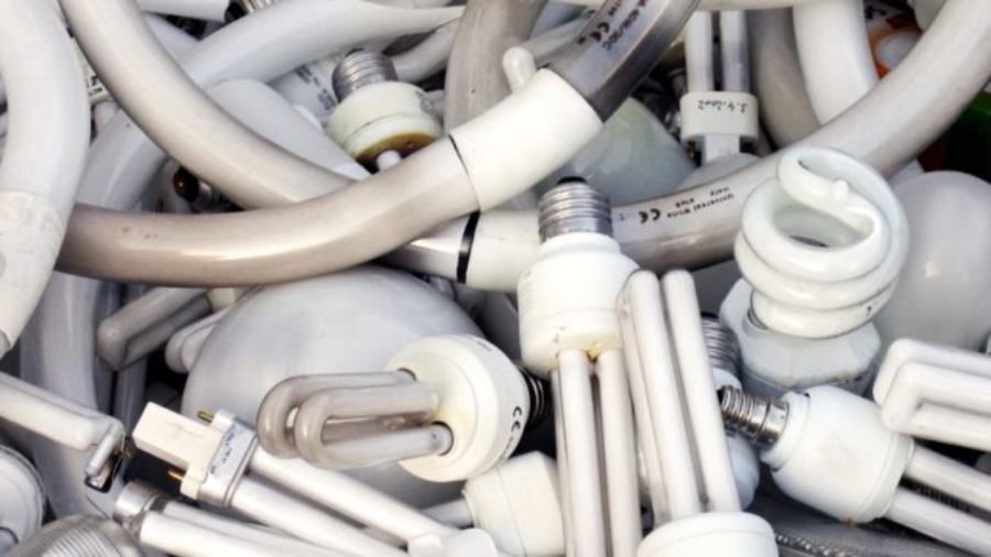 Raccolta RAEE in Calabria nel 2020: Cosenza è la più virtuosa 53 lampade esauste sorgenti luminose