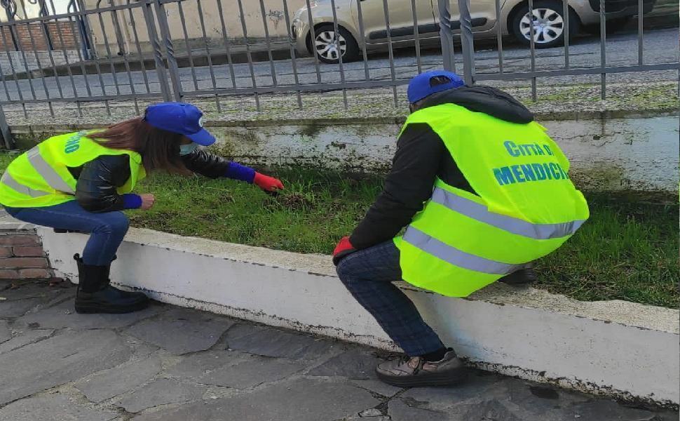 lavoratori comune reddito cittadinanza
