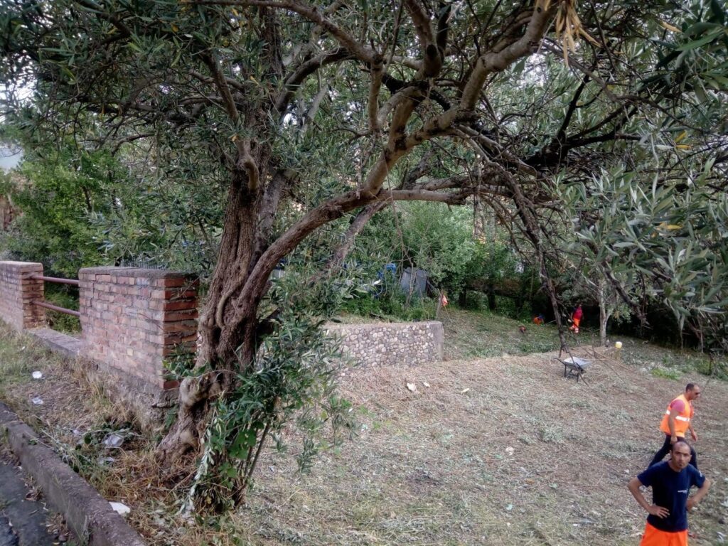 lavoratori delle cooperative bonificano muoio piccolo 3 1