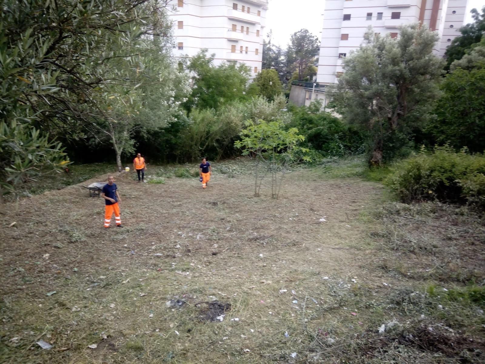 lavoratori delle cooperative bonificano muoio piccolo