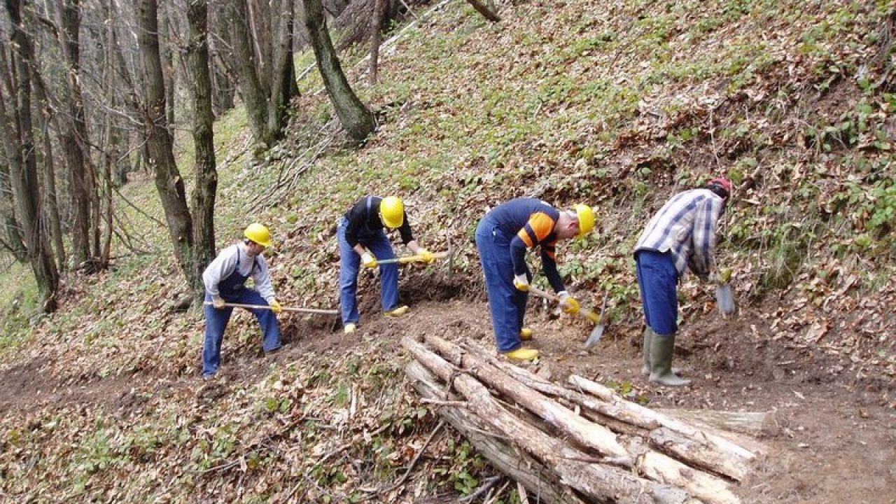 lavoratori forestali 1280x720 2