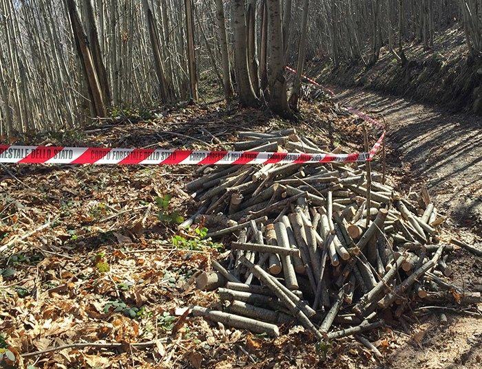 Sorpresi mentre rubavano un quintale di legna: denunciata coppia cosentina 56 legna 2
