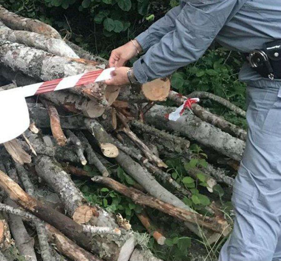 legna montalto cop 1