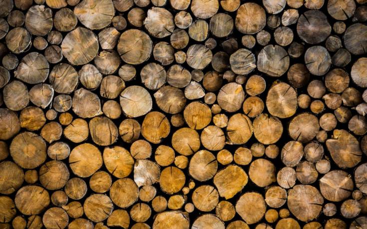 legno