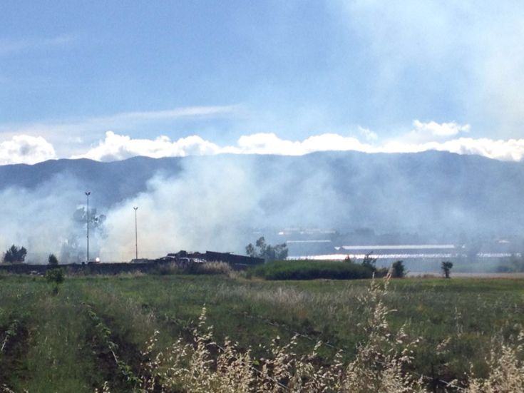 Incendi area ex Legnochimica, nessun intervento per scongiurare l'autocombustione 80 legnochimica autocombustione 37 1 2