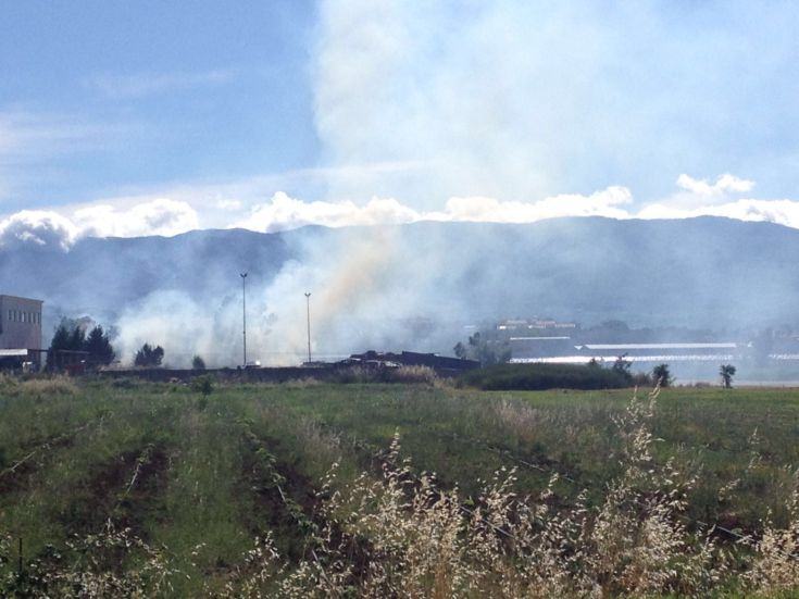 legnochimica autocombustione 4 1