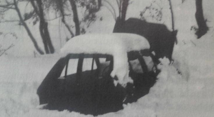 lentui gigliotti 735x400 5