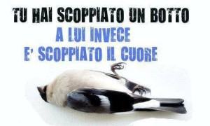 lipu no botti 300x180 1