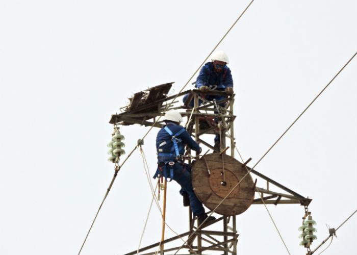 Sibari, coppia di Cicogna Bianca nidifica su piattaforma artificiale 80 lipuu