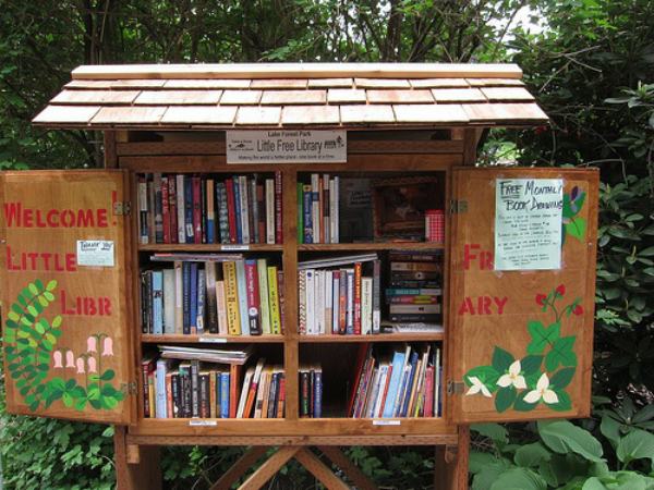 little free libraries