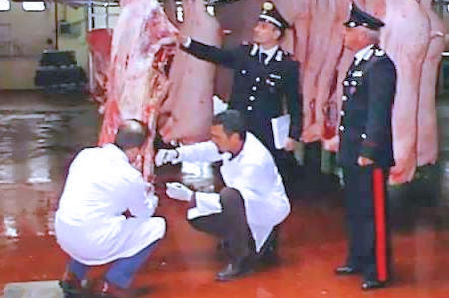 Additivi irregolari nella carne venduta. I Nas denunciano i titolari di due macellerie 51 macelleria carne nas