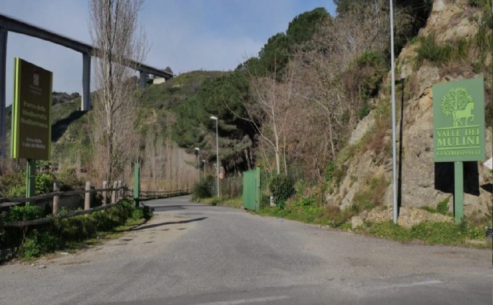 Aggrediti a bastonate al centro ippico, morto anche il secondo ferito 51 maneggio 25faa1ce