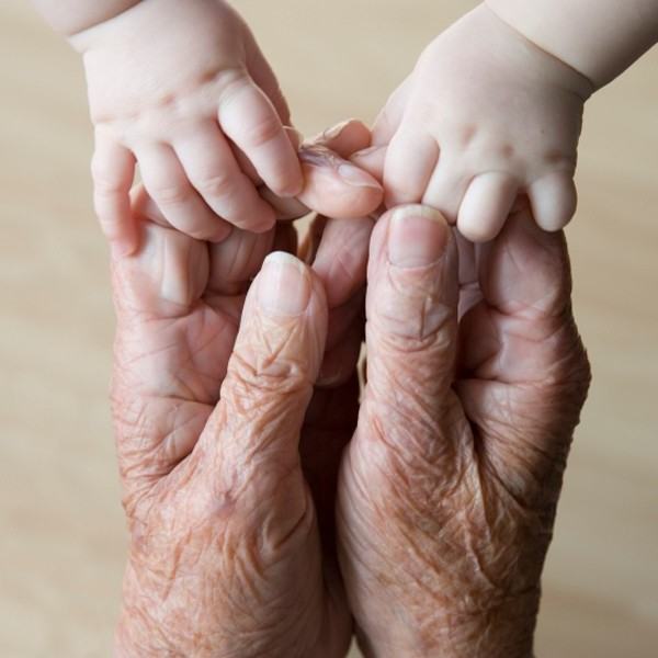 Arriva a Rende il ''Senior & Junior Expo'': seminari, degustazioni e concorsi 53 mani vecchio e bambino