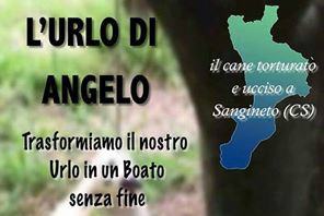 manifestazione 21 sangineto angelo