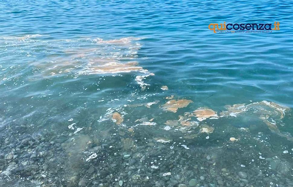 mare inquintato sporco2 3