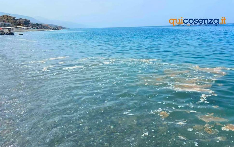 "Ridateci il nostro mare". Associazioni e comitati plaudono all'operazione Archimede 65 mare inquintato sporco3 1