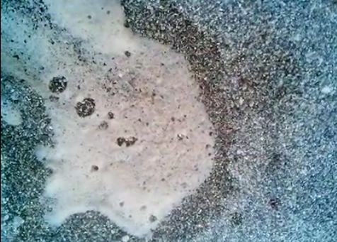 Mare sporco a Paola, la dura protesta del gestore di un lido 191 mare sporco paola 1