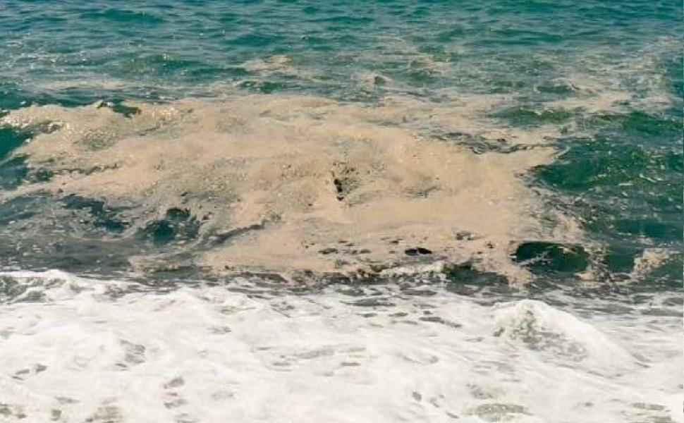 mare sporco petizione