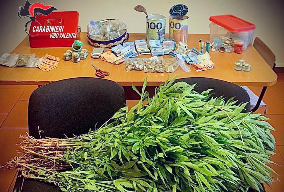 75 piante di marijuana e oltre 5 mila euro nascosti in campagna. Arrestato 36enne 51 maria 1