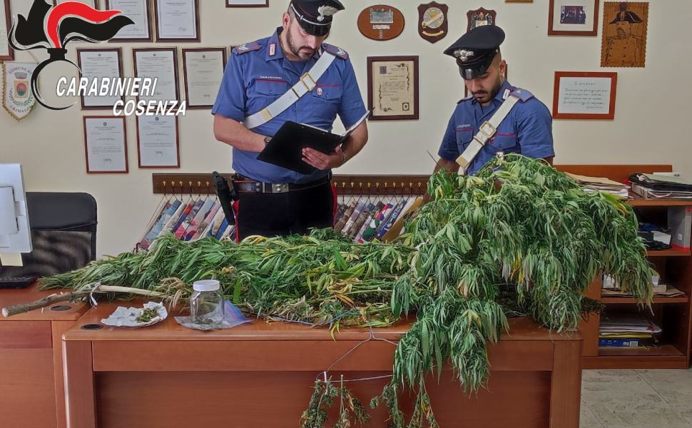 marijuana 28enne arresto cc malito 01