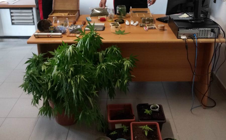 marijuana 4 arresti san demetrio 1