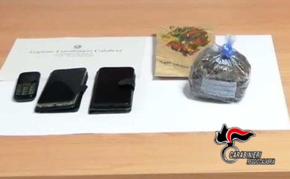 marijuana busta pane