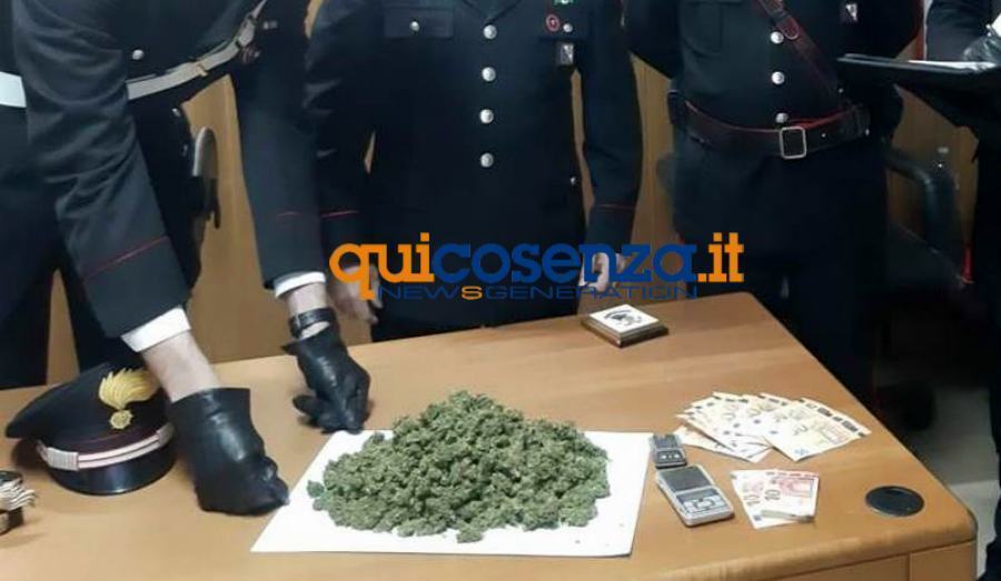 San Giovanni in Fiore: sorpreso con 240 grammi di marijuana, 23enne denunciato 51 marijuana carabinieri san giovanni in fiore