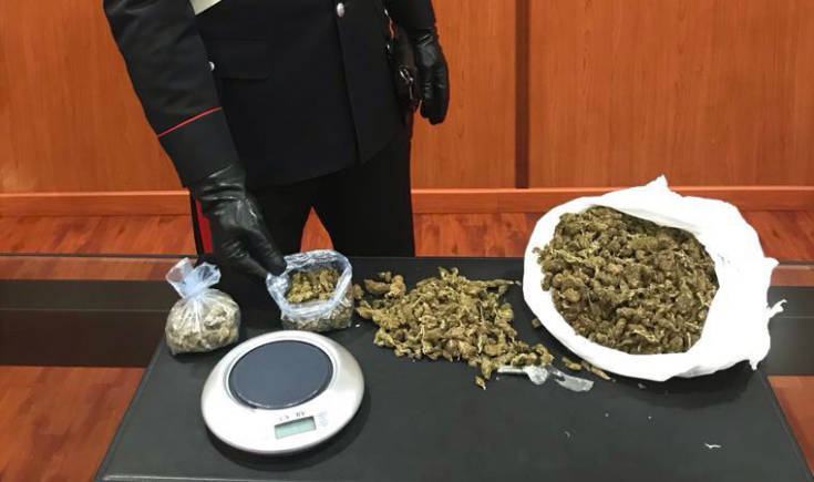 marijuana cosenza arresto