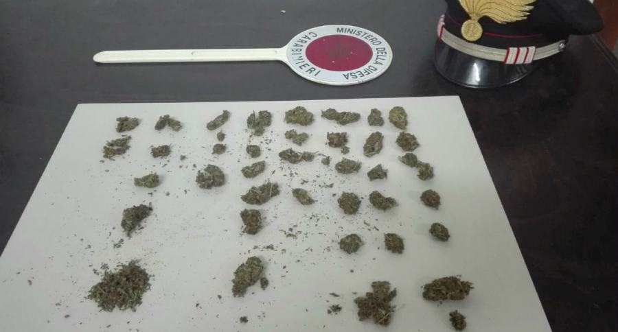 marijuana droga auto
