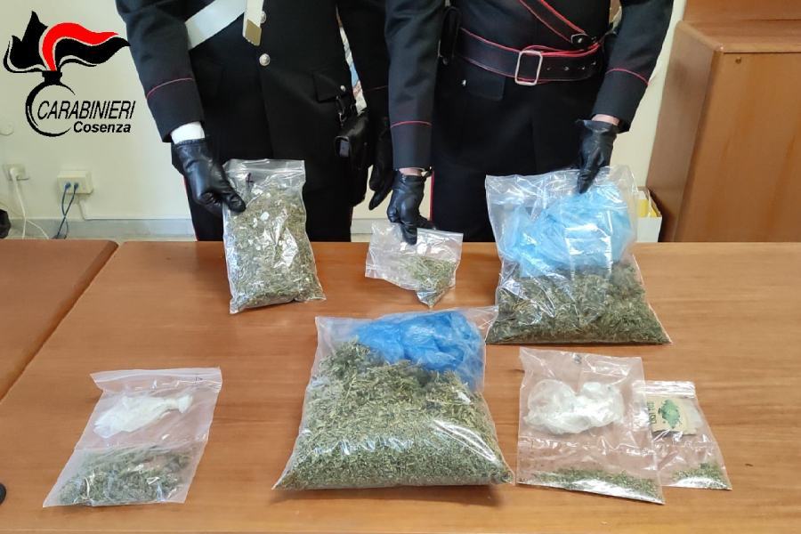 Belsito: un arresto e una denuncia, trovati con la marijuana in casa 51 marijuana rogliano