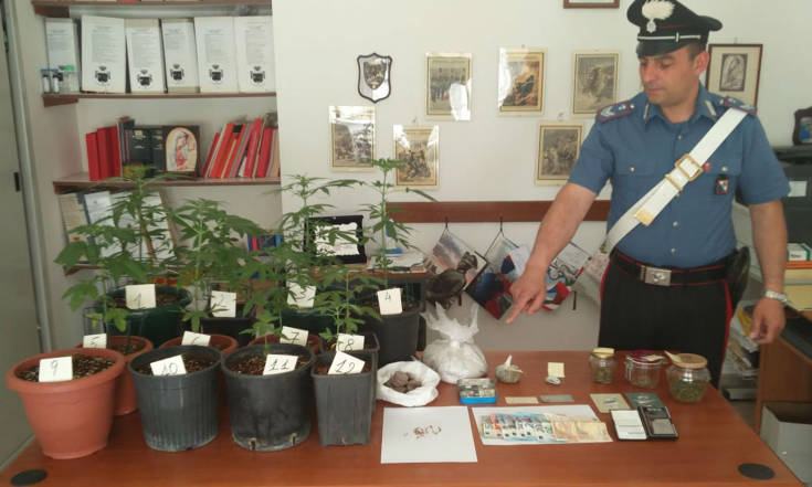 marijuana santa sofia depiro