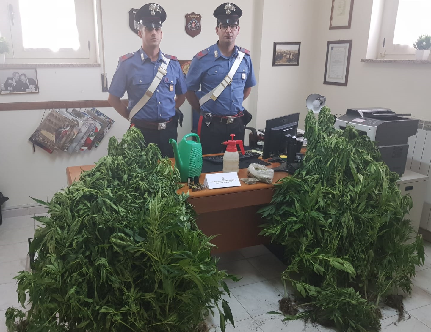 marijuana