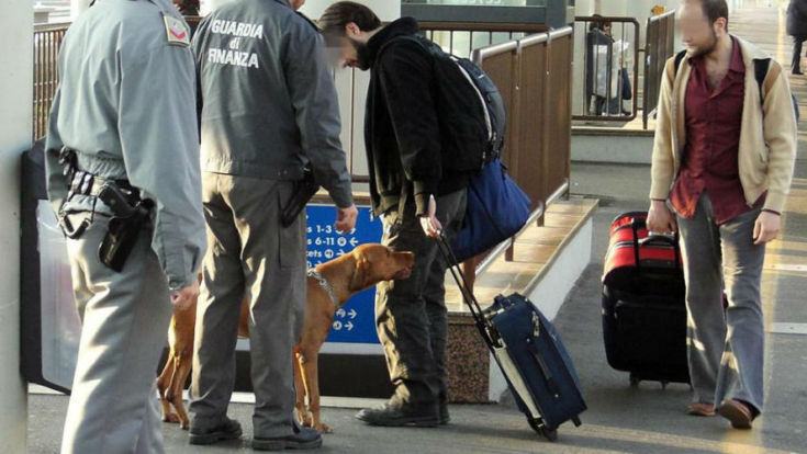Fermato in stazione con l''erba' nascosta nel cibo per cani, arrestato trentenne 51 marijuana cane