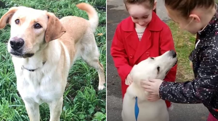 marlene e rosie copertina