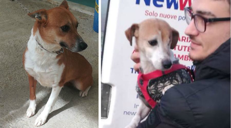 melba molly e Fausto