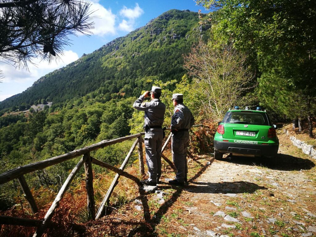 Tre persone sospettate di aver disboscato parte di Mendicino (VIDEO) 3 mendicino controllo 1