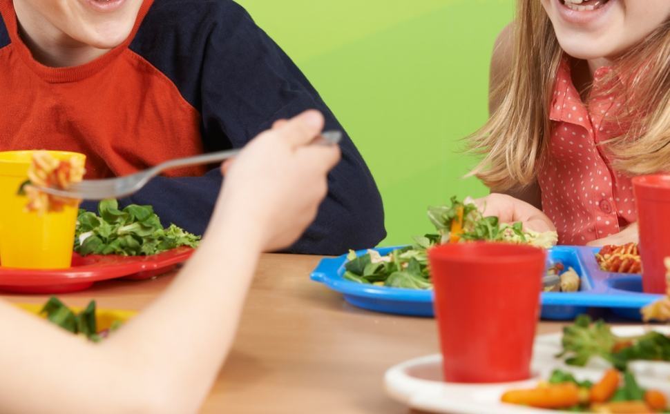 A Rende alimenti biologici nelle mense scolastiche 51 mensa scuola 1