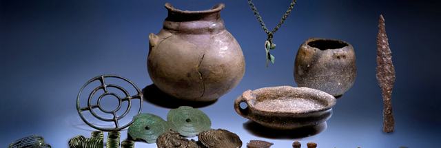 museo brettii 2