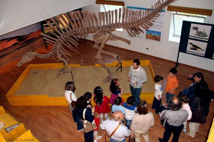 museo paleontologia unical