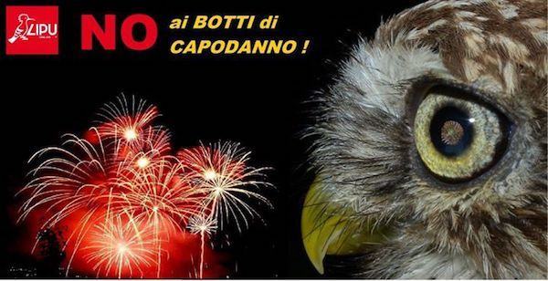 no ai botti di Capodanno 1