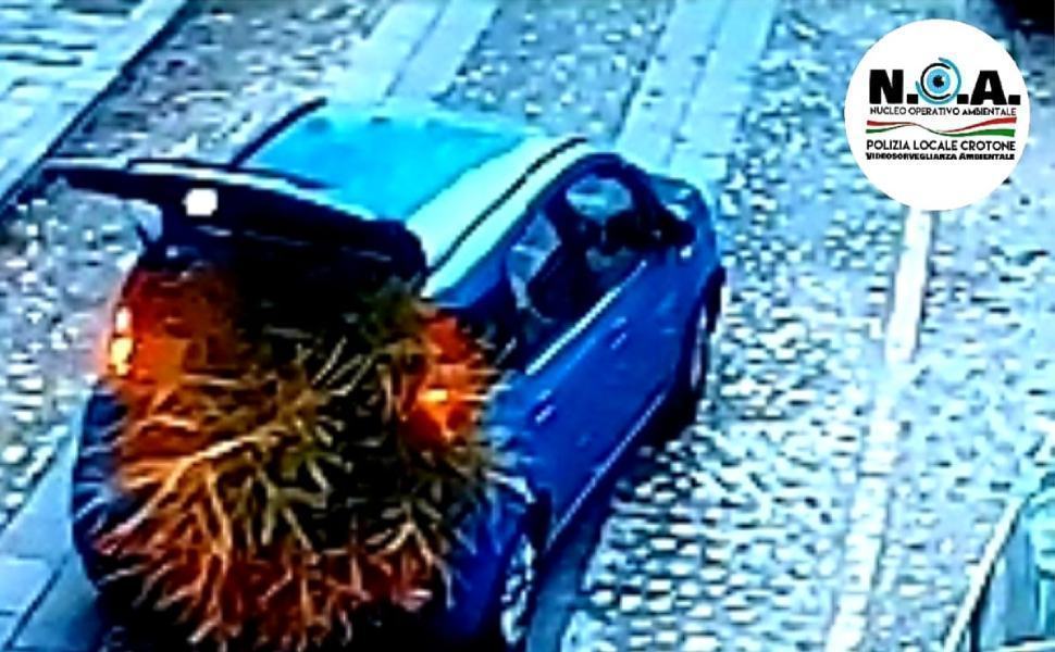 Beccati dalle foto trappole mentre gettavano rifiuti di ogni genere. Sanzionati 51 noa abbandono rifiuti fototrappole