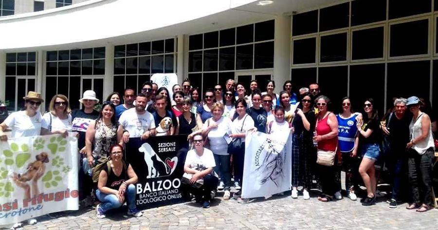 onda animalista alla Regione randagismo